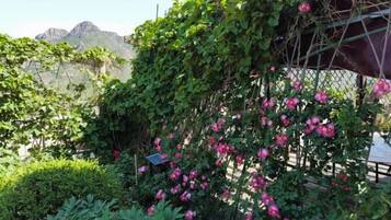 Een tuin met een klimplant en roze bloemen, omringd door begroeiing en een berg op de achtergrond.