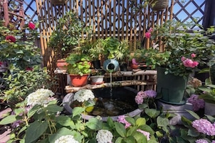 A garden with a variety of potted plants and a small fountain.