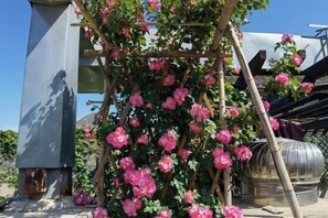 Garden - Junan Gloria Plaza Hotel (Chengde County)