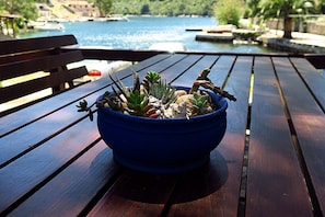 Enjoy a serene view of the water from this outdoor deck, surrounded by lush succulents and cacti.