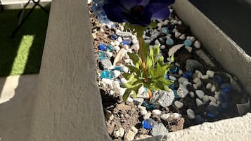 Un jardín en la azotea con una fila de macetas y guijarros.