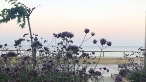 A wooden boardwalk leading to a beach with purple flowers in the foreground.