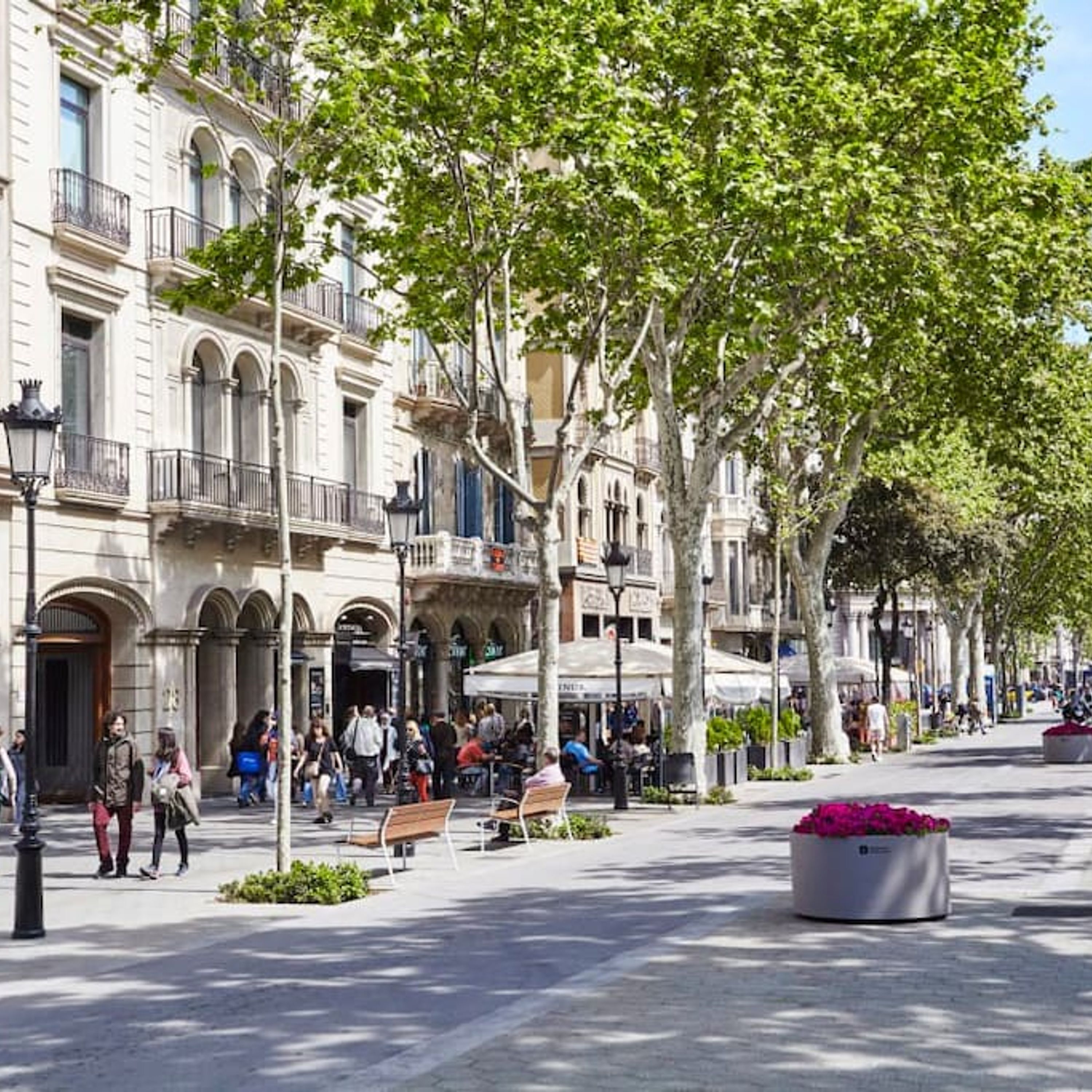 A tree-lined street with benches and outdoor seating, suggesting a pedestrian-friendly area.