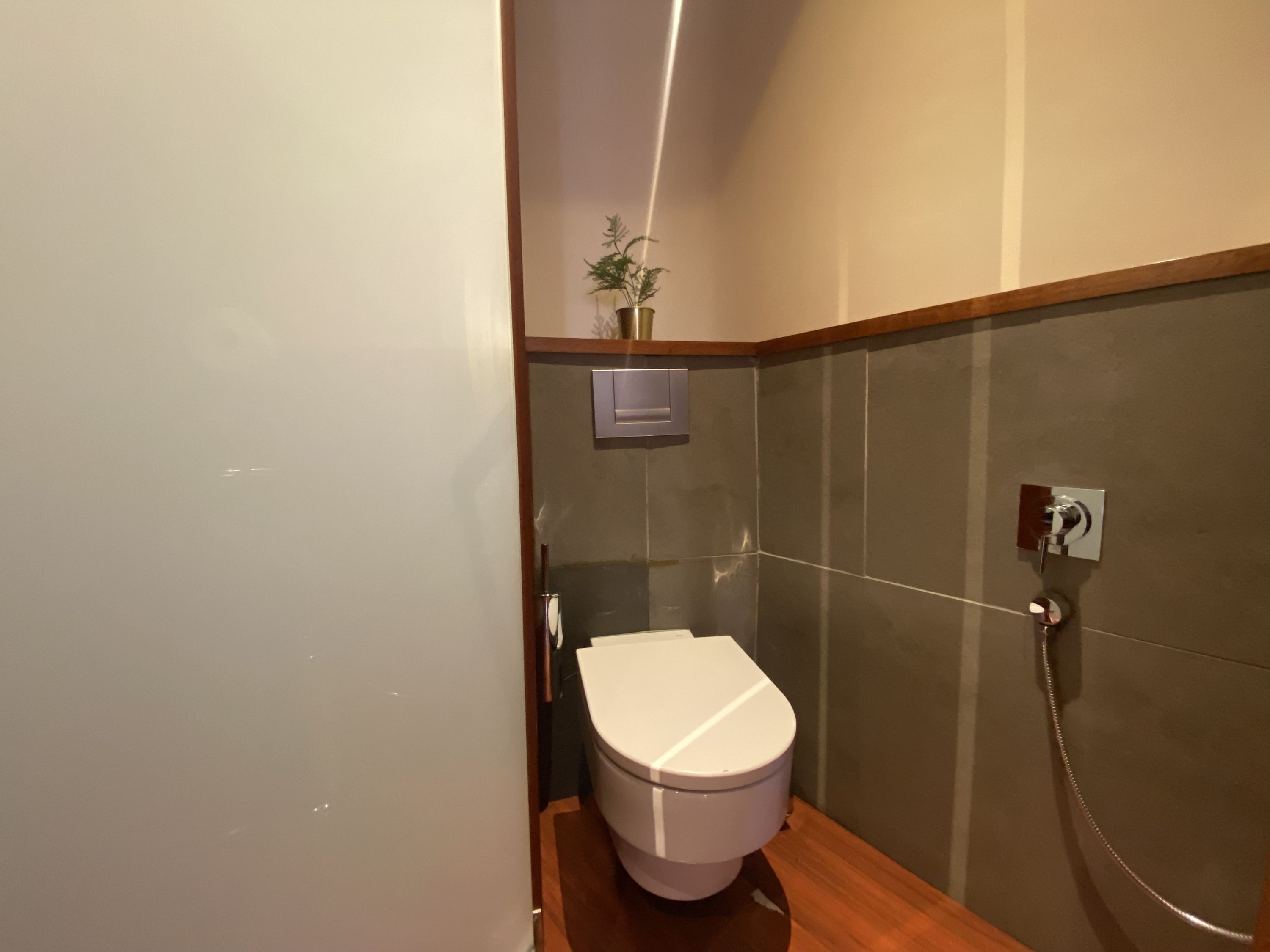 A modern bathroom with a white toilet, a shower, and a small shelf with a plant.