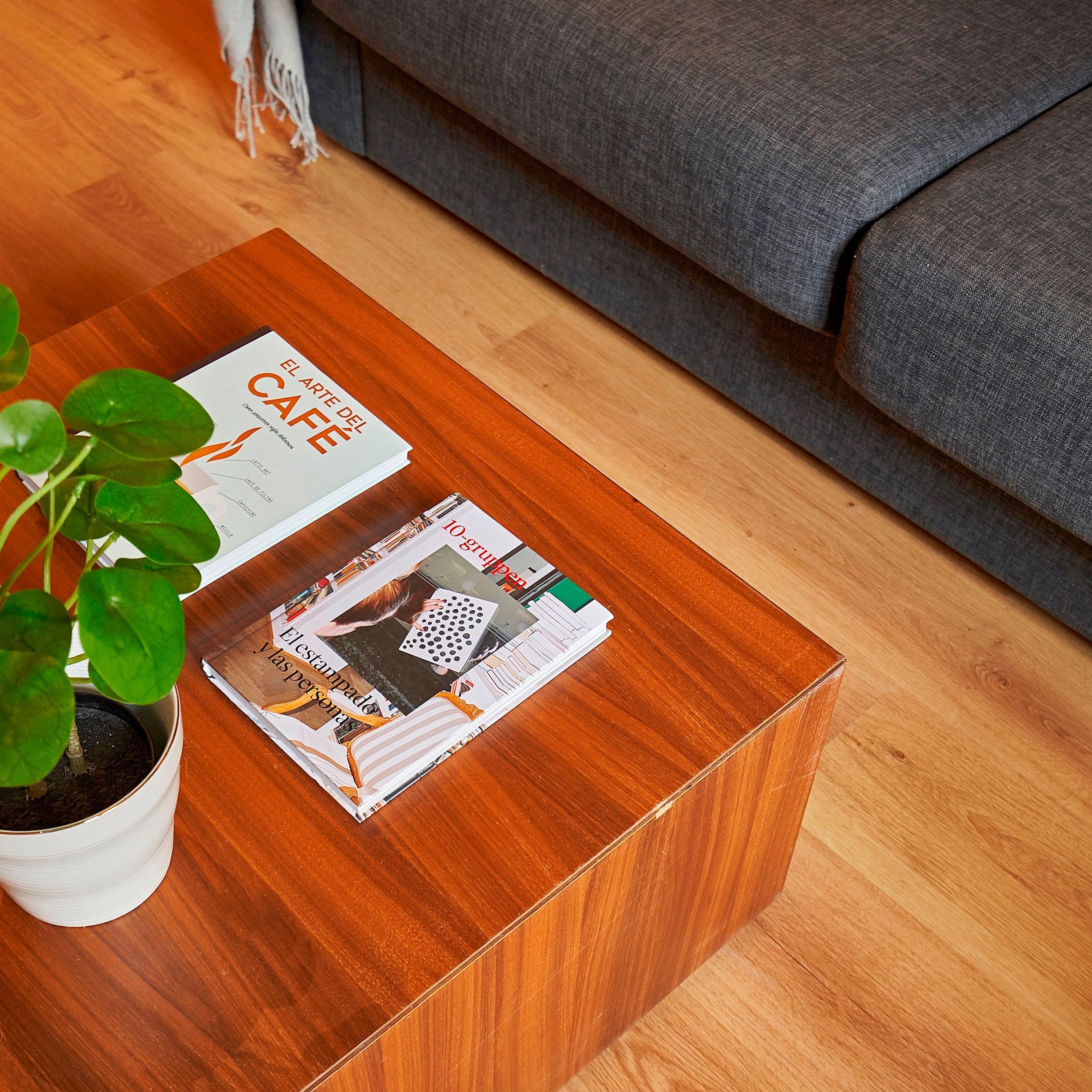 A wooden coffee table with magazines and a potted plant.