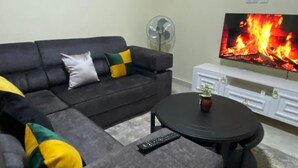 A living room with a grey sofa, a black coffee table, a remote control, and a flat-screen TV displaying a fire. - Elite Homes (Kampala)