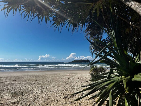 Beach nearby - Sunnyboy at Fingal Head, pet friendly (Fingal Head)