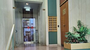 A marble staircase leading to a reception area with a wooden door and a potted plant. - Domus Ballà Tonale Camera 1 (Verona)