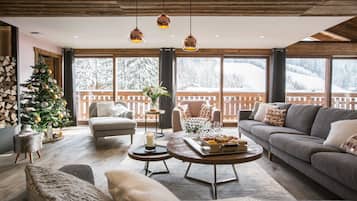 Télévision, cheminée, vidéothÚque, chaßne hi-fi