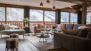 Télévision, cheminée, vidéothÚque, chaßne hi-fi