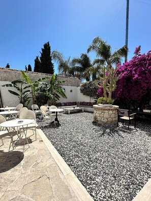 テラス / パティオ