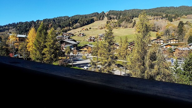 A mountain village with traditional houses, a clear sky, and a forested hillside.
