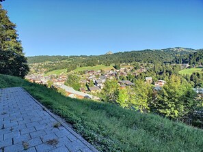 Property grounds - Tamo - appartement - 6pers - vue piste (Les Gets)