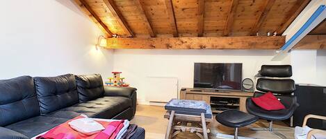 Fernseher