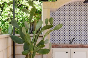 A cactus plant in a planter next to a tiled backsplash. - Lovely Family Villa in Modica (Modica)
