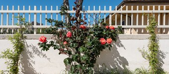 Lovely Family Villa in Modica