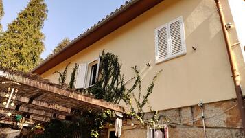 Detalle del exterior