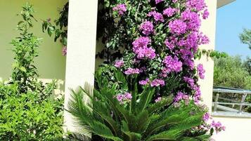 Apartment (Two Bedroom Apartment with Sea View T) | Property amenity