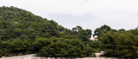 Studio (Studio Apartman (A2)) | Aerial view