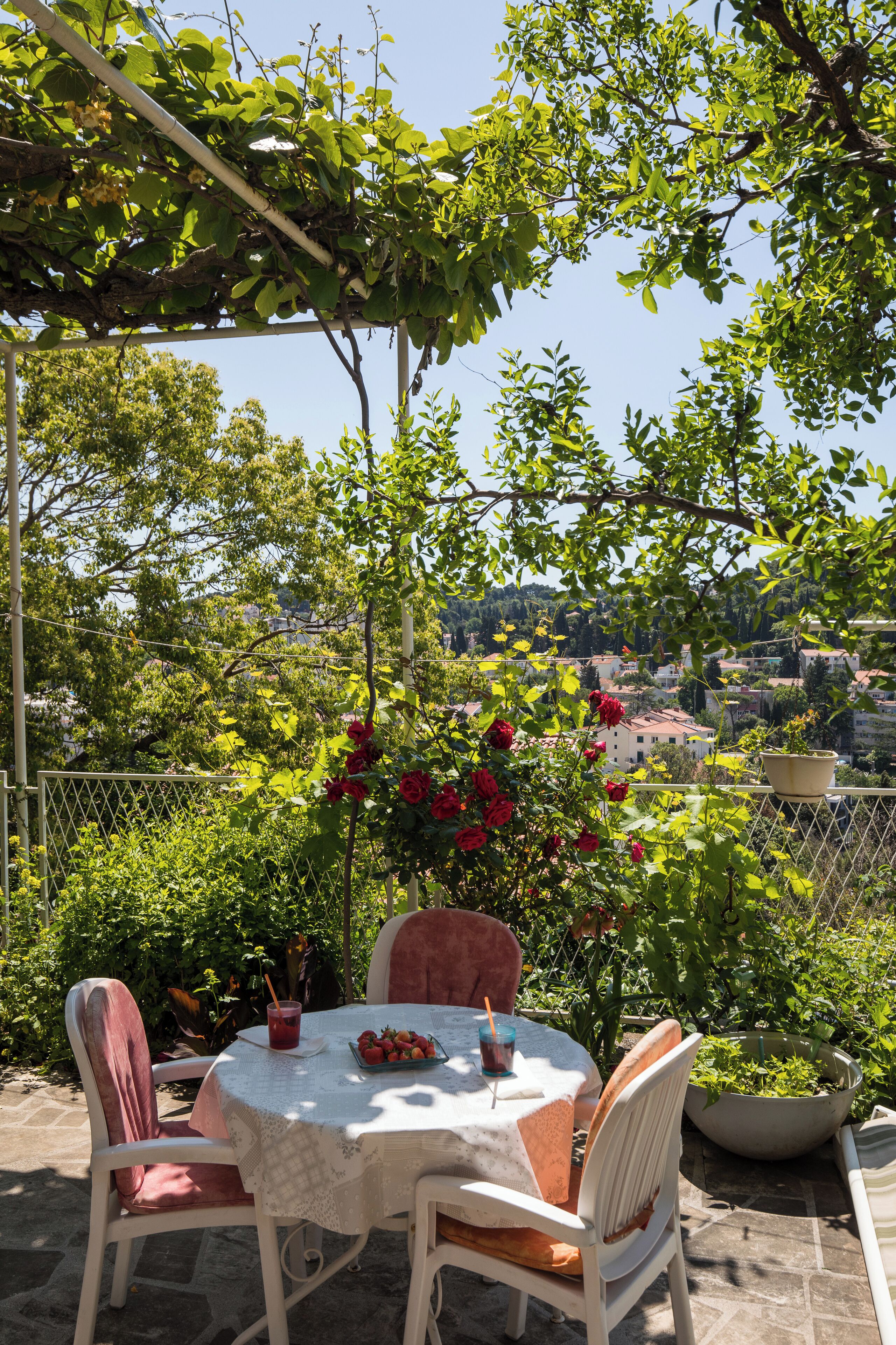 Foto - Begović Guest House