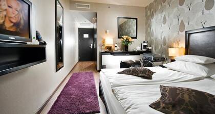 Hostel New Colosseum