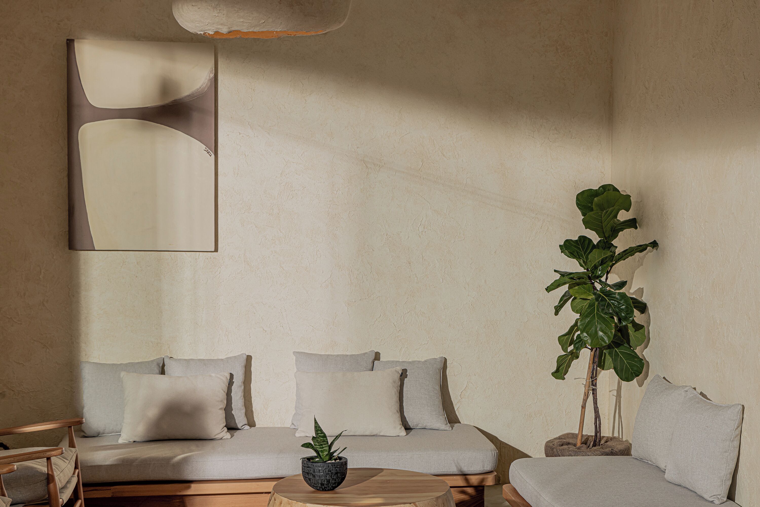 A modern living room with a sofa set, a coffee table, and a potted plant.