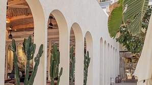 A courtyard with arched walkways, cacti, and a building labeled "Serab Residencia" in the background. - Serab Residencia (Jounieh)