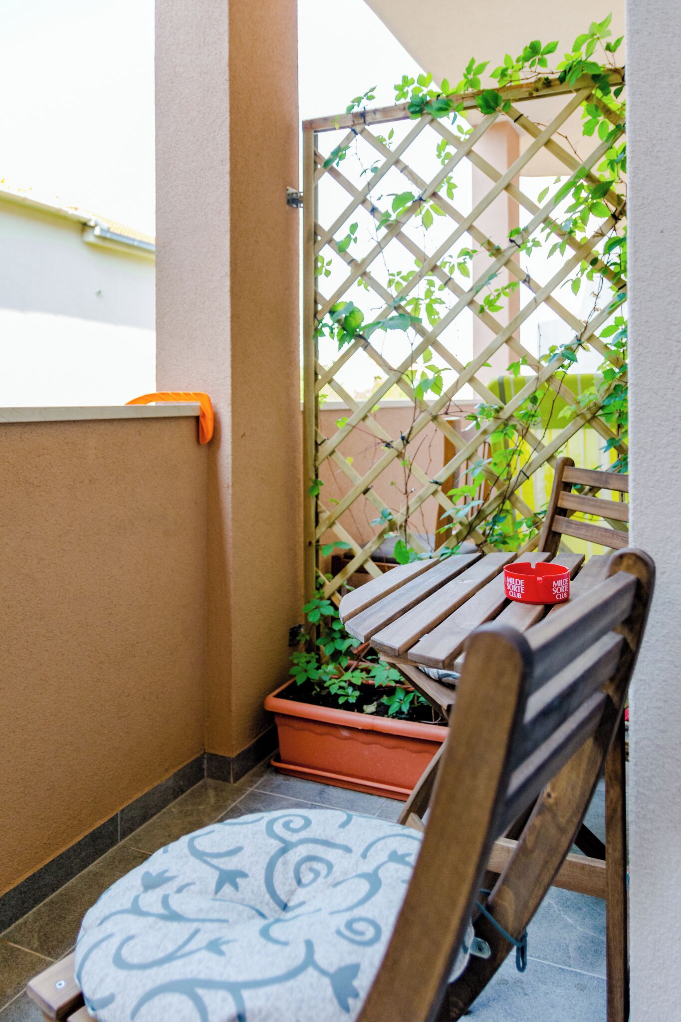A wooden bench with a cushion, a potted plant, and a red container on a balcony.