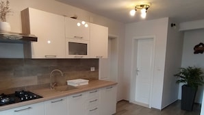 A modern kitchen with white cabinets, a built-in oven, a sink, and a stove. There are ceiling lights and a potted plant in the corner. - Holiday Home Luna (Korcula)
