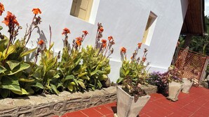 A garden with various plants and flowers, a stone wall, and a red tiled floor.