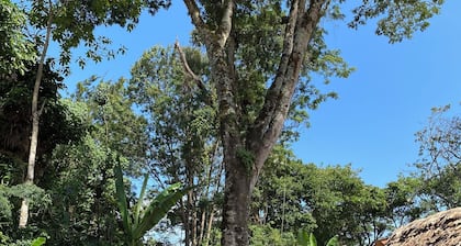 Mrefu Eco Lodge