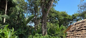 Mrefu Eco Lodge
