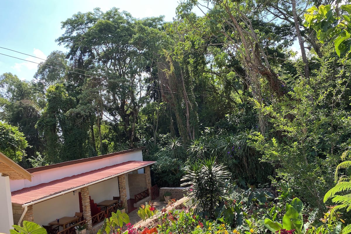 Un edificio de techos rojos y paredes de piedra, rodeado de abundante vegetación y diversas plantas.
