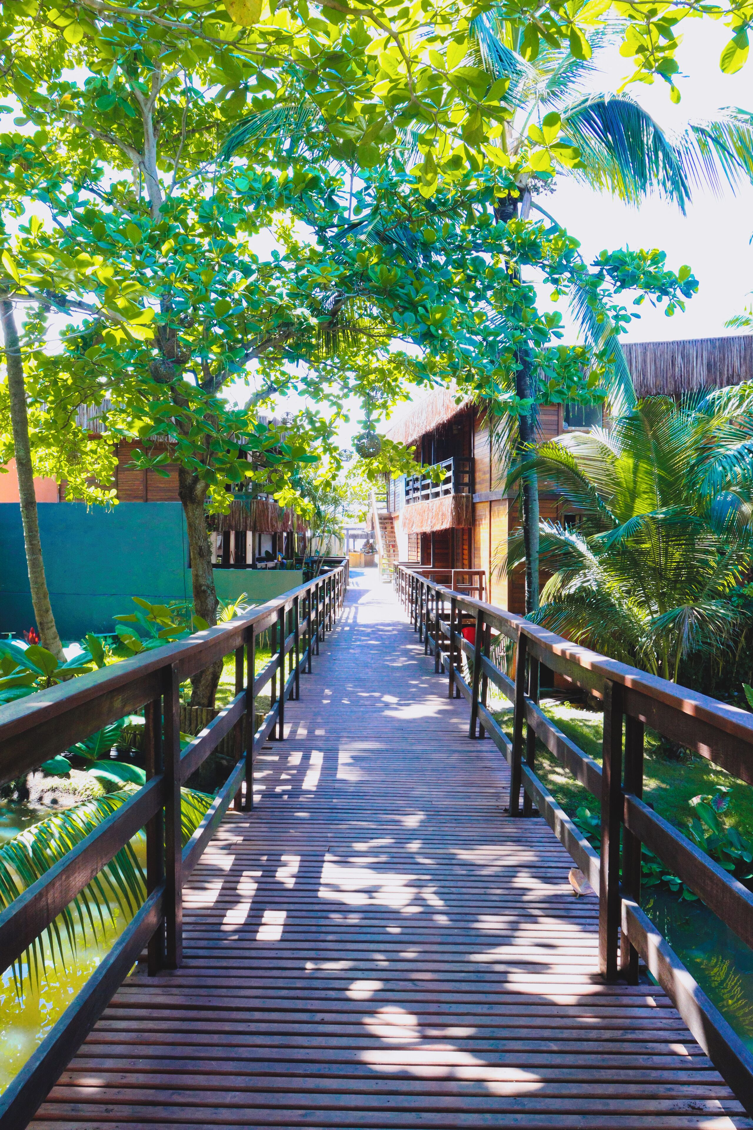 A wooden boardwalk with railings, surrounded by lush greenery and palm trees.