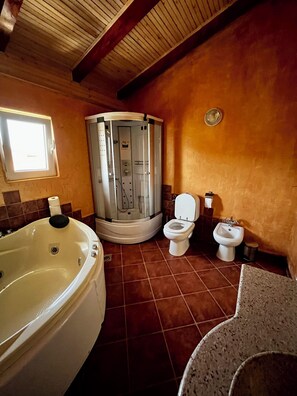 Regadera, secadora de cabello, bidet, toallas 