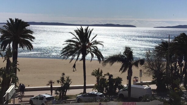 A beach with palm trees, a sandy shore, and a clear view of the sea. - Hôtel L'ÎLOT FLEURI  (Le Lavandou)