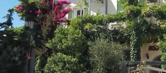 Hôtel L'ÎLOT FLEURI 