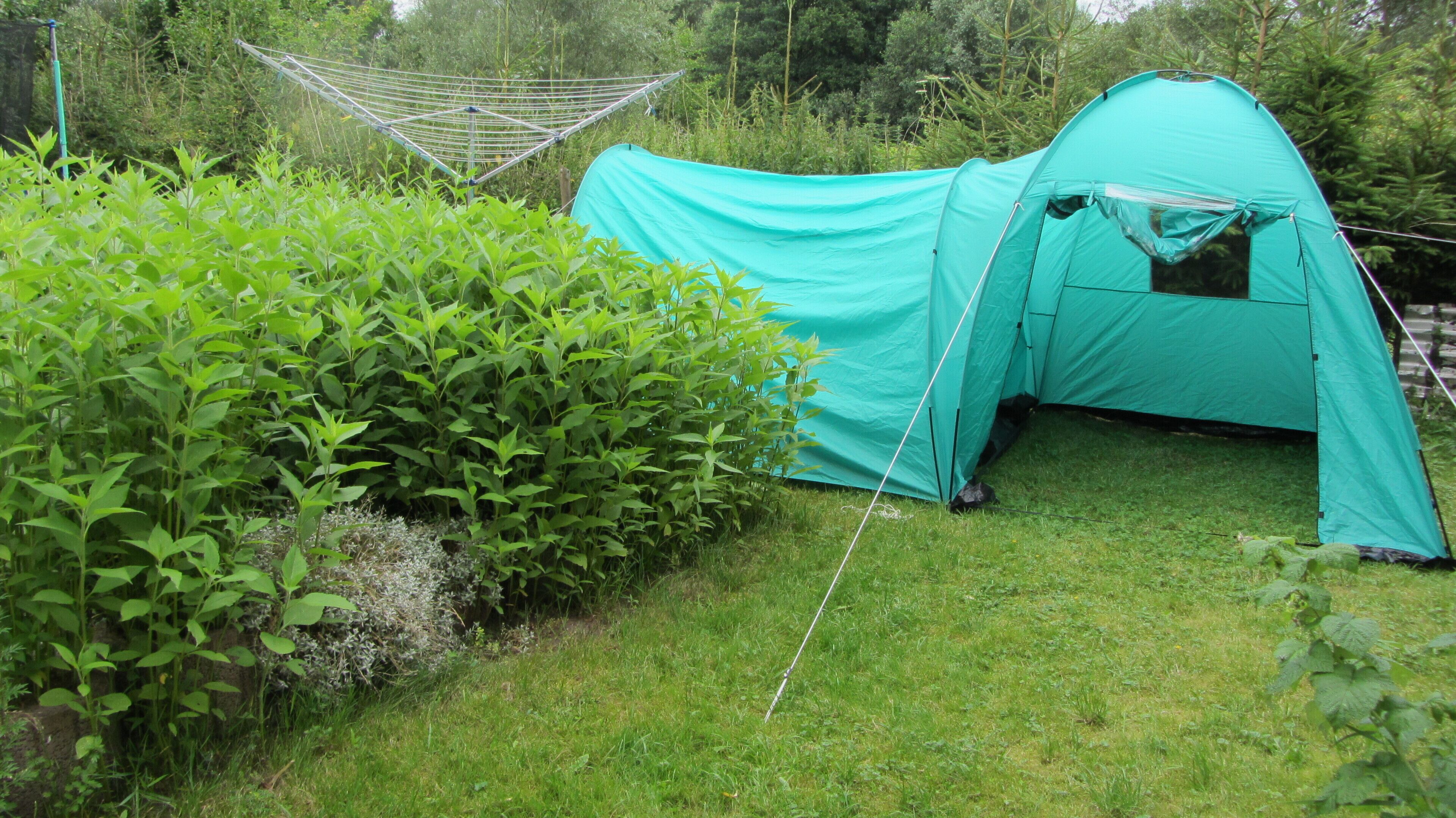 A green tent set up in a grassy area with dense foliage and a clothesline in the background.