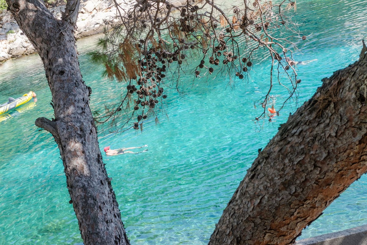 A clear turquoise sea with a tree branch in the foreground.