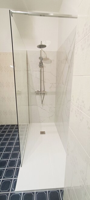 Shower, hair dryer, bidet, towels