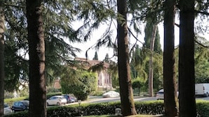 A view of a street lined with tall trees and parked cars.