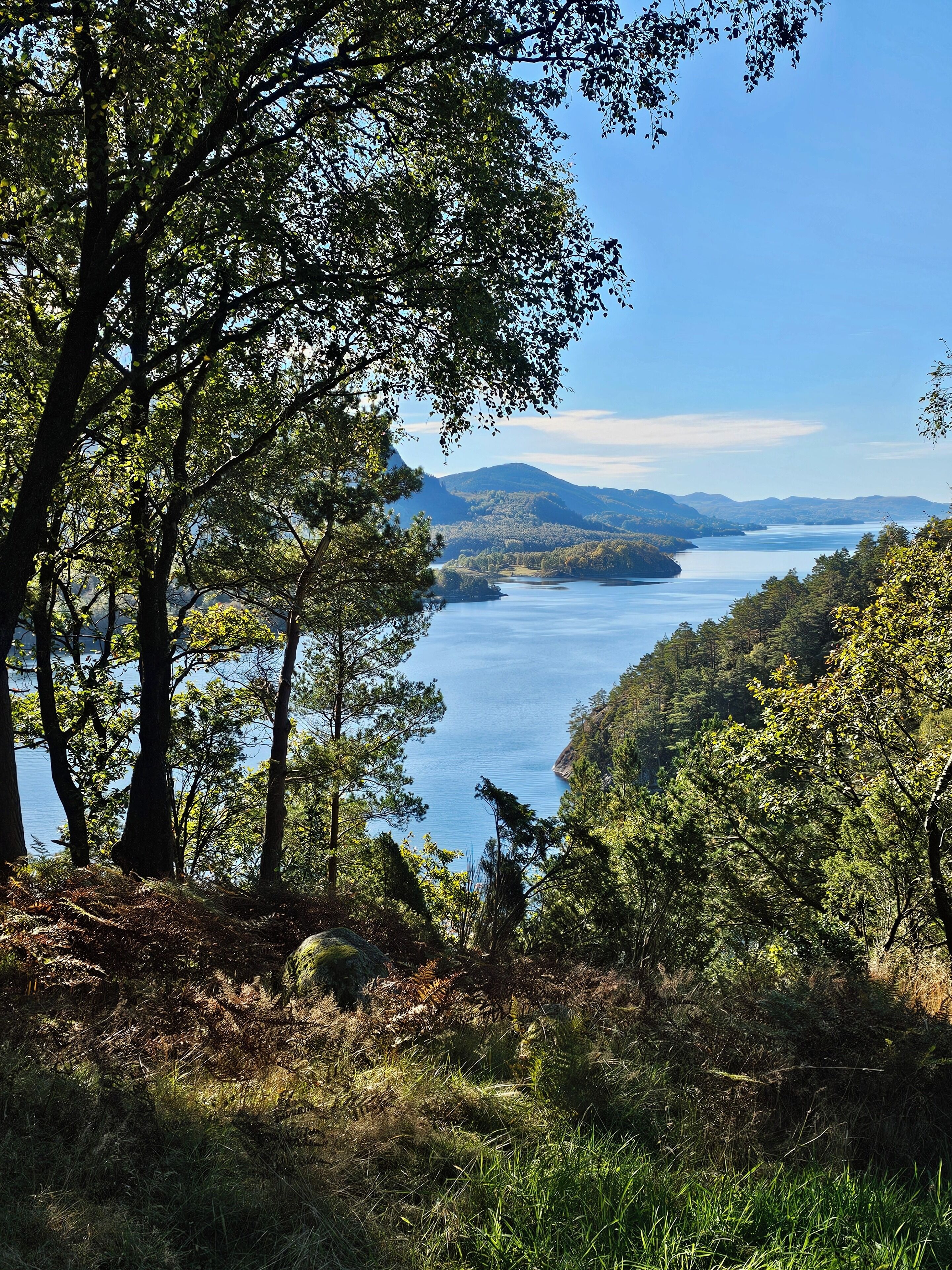 Un paisaje natural con un lago, árboles y montañas a lo lejos.