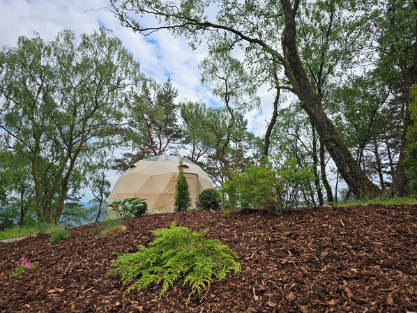 A dome-shaped tent in a forested area with trees and a clear sky. - NorGlamp (Hjelmeland)