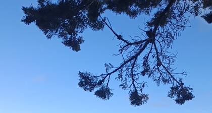 En Bord de Mer, Appartement au 1er Ătage Avec Terrasse Spacieuse