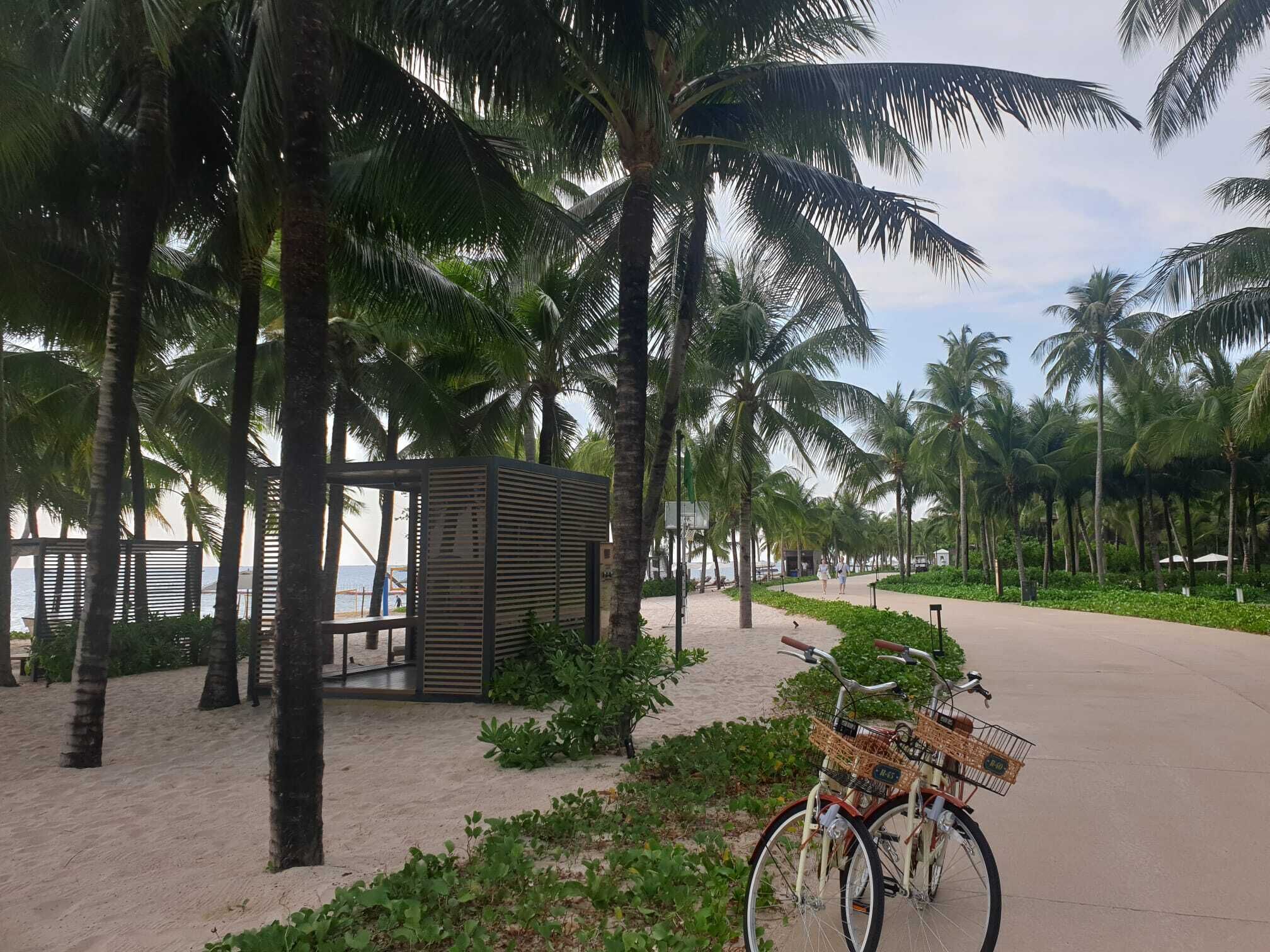 A beachside walkway lined with palm trees, a bicycle with a basket, and a small wooden structure.