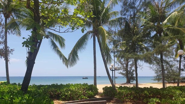 A paved pathway leading to a beach with palm trees and a clear view of the ocean.