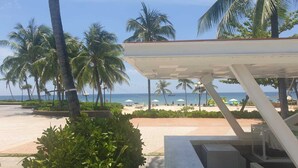 A beachside view with palm trees, a clear sky, and a beach in the background.