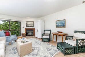 Smart TV, fireplace, books
