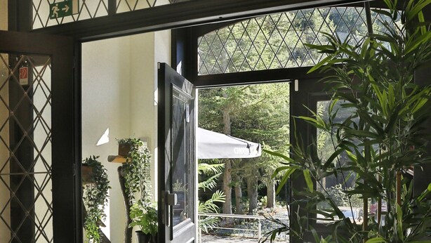 An open doorway leading to an outdoor area with a bench and potted plants. - Hôtel L'ermitage (Houffalize)