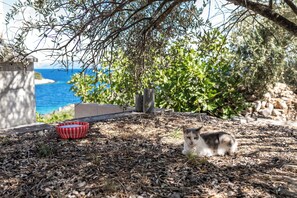 하우스 (Three Bedroom Holiday Home with Terra) | 정원